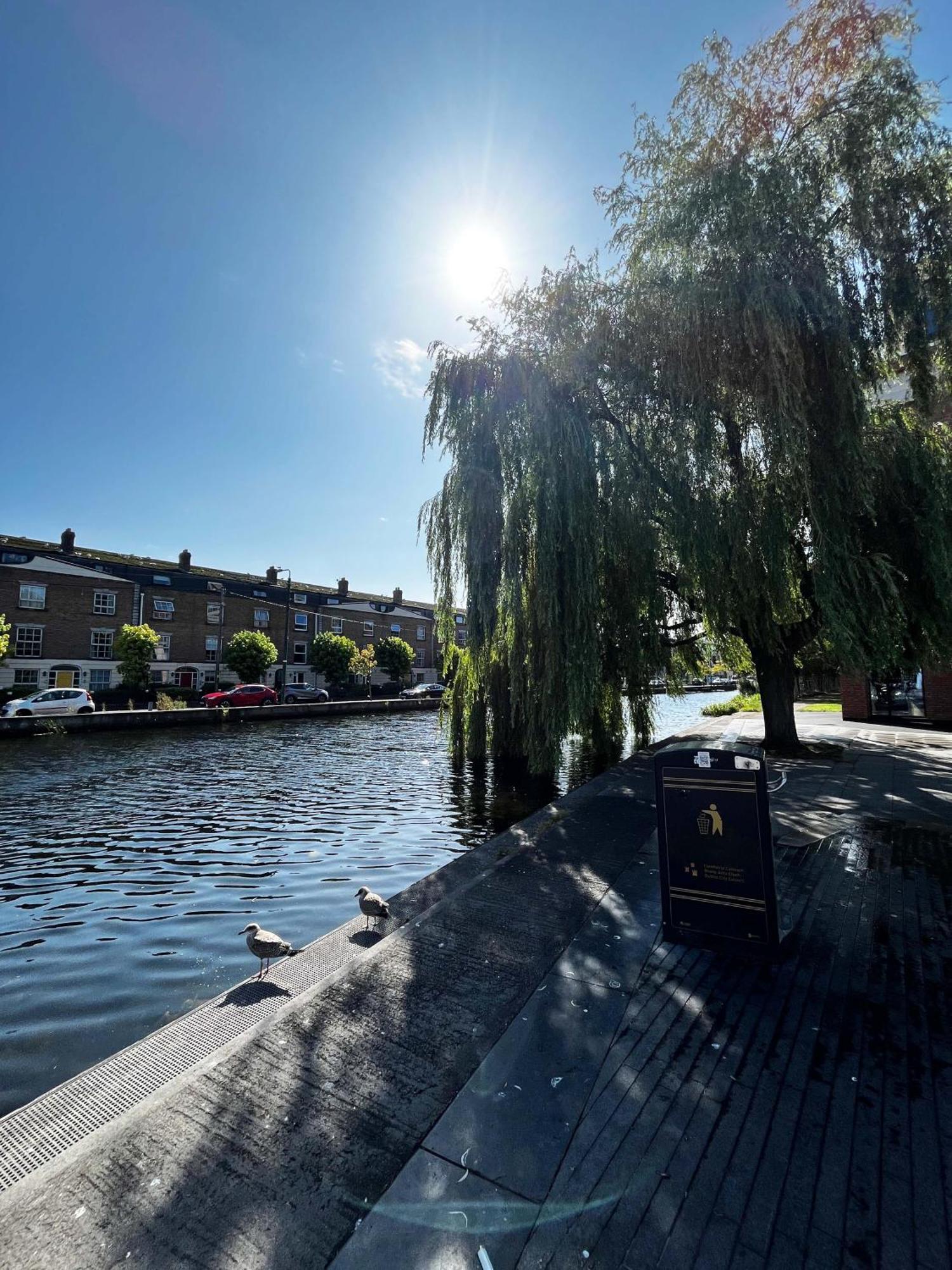 Cosy 2-bedroom In Portobello Holiday home Dublin